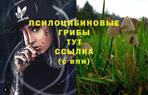 стаф Балахна