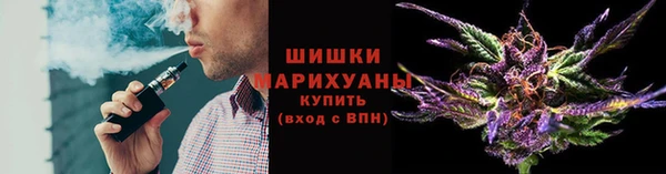 стаф Балахна