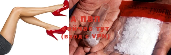 стаф Балахна