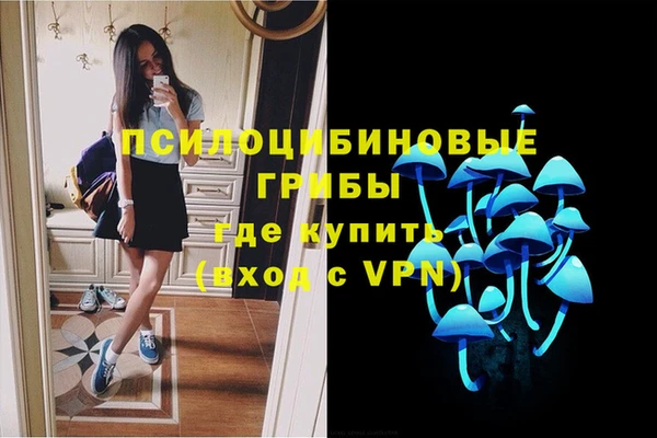 стаф Балахна