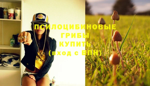 стаф Балабаново