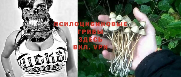 стаф Балахна