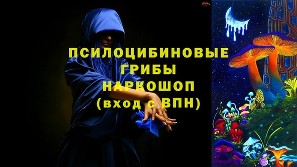 стаф Балахна