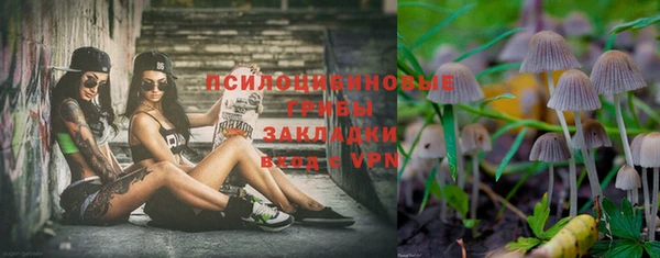 шишки Беломорск