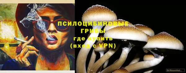 стаф Балабаново