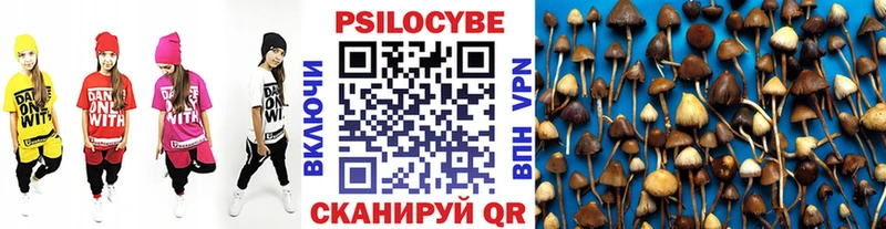 Псилоцибиновые грибы MAGIC MUSHROOMS Еманжелинск
