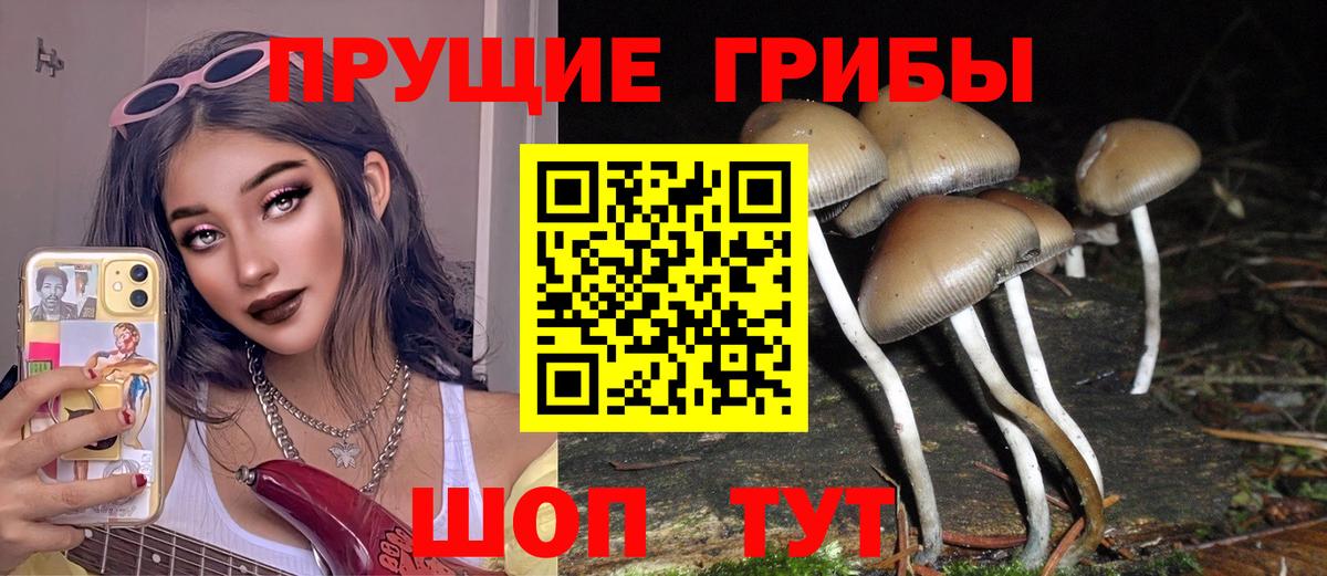 Псилоцибиновые грибы MAGIC MUSHROOMS Еманжелинск